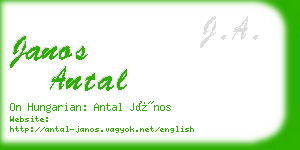 janos antal business card